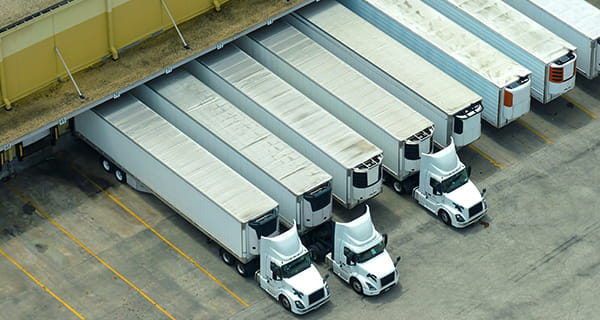 Sales & Distribution